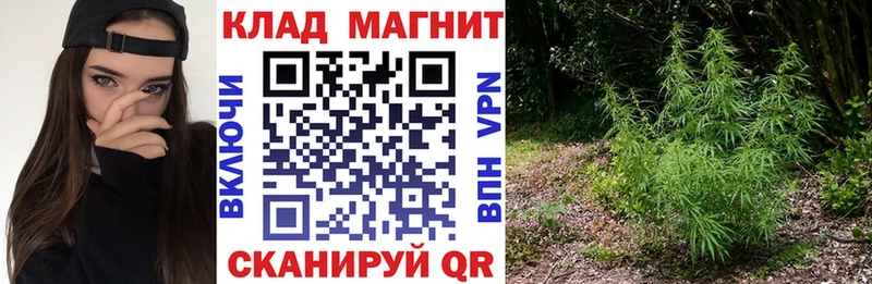 Магазины продажи наркотиков Каргополь Амфетамин  Мефедрон  Cocaine  ГАШ  МАРИХУАНА 