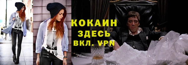 ешки Гусев