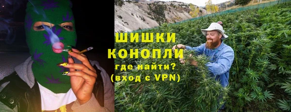 ешки Гусев
