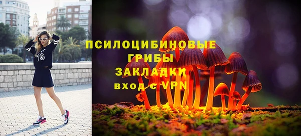 хмурый Гусь-Хрустальный