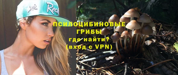 хмурый Гусь-Хрустальный