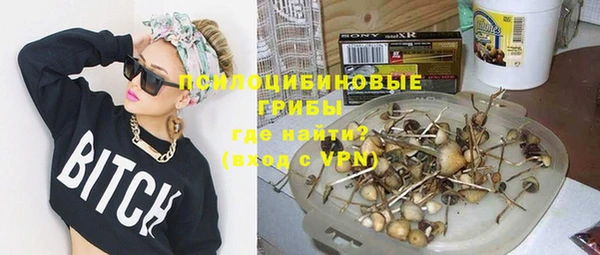 ешки Гусев