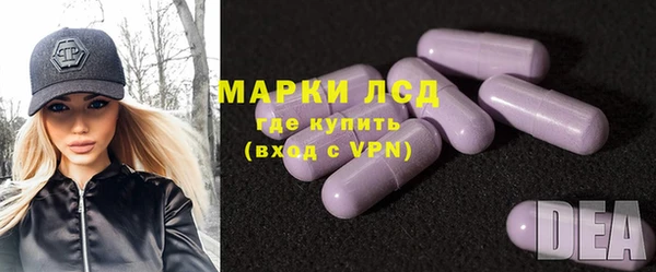 хмурый Гусь-Хрустальный