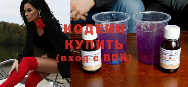 хмурый Гусь-Хрустальный