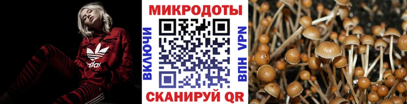 Галлюциногенные грибы ЛСД  Каргополь 